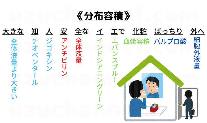 ゴロ 分布容積 ゴロナビ 薬剤師国家試験に勝つ