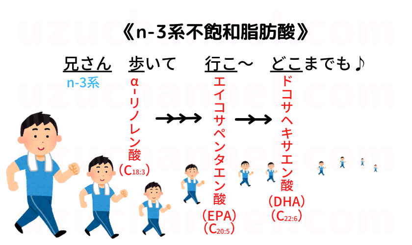 【ゴロ】n3系不飽和脂肪酸 ゴロナビ〜薬剤師国家試験に勝つ〜 【ゴロ】n3系不飽和脂肪酸 ゴロナビ〜薬剤師国家試験に勝つ〜
