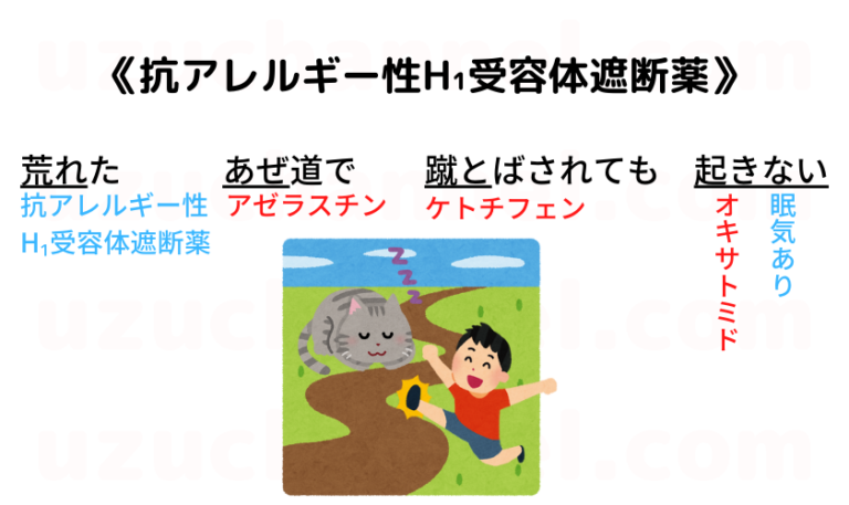 オクチフェンのリーフレット