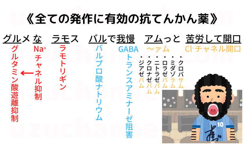 【ゴロ】全ての発作に有効の抗てんかん薬 ゴロナビ〜薬剤師国家試験に勝つ〜