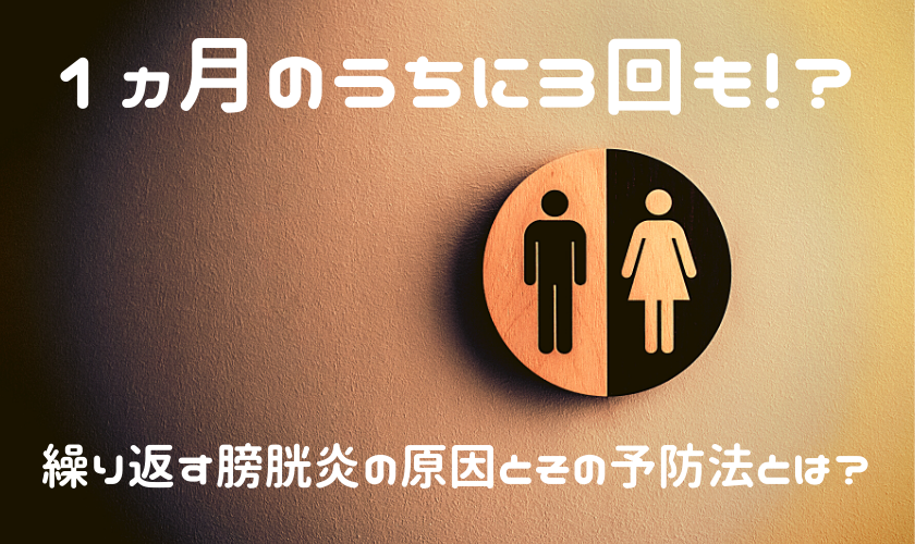 1ヵ月のうちに3回も 繰り返す膀胱炎の原因とその予防法とは 自由に生きる 天職を求めて