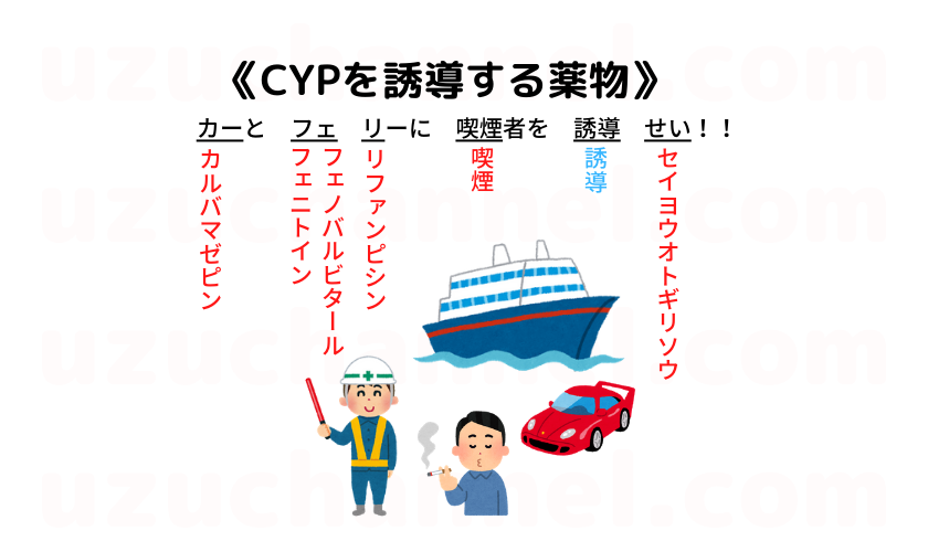 ゴロ Cypに関する薬物 ゴロナビ 薬剤師国家試験に勝つ