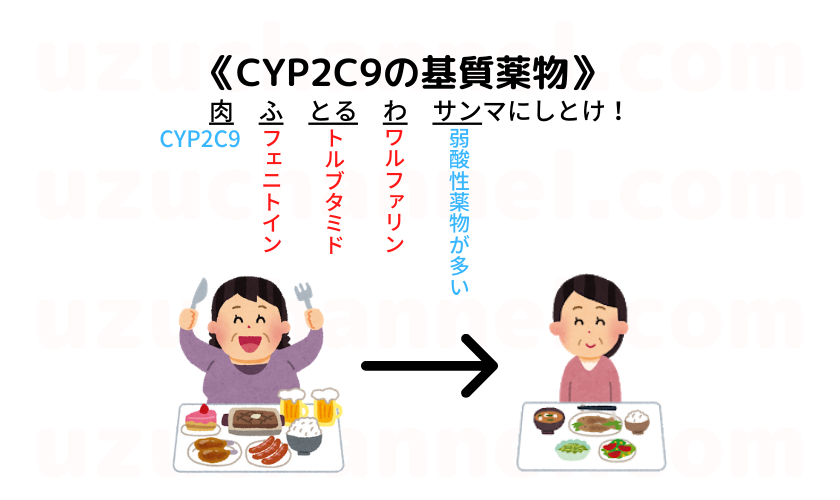 ゴロ Cypに関する薬物 ゴロナビ 薬剤師国家試験に勝つ